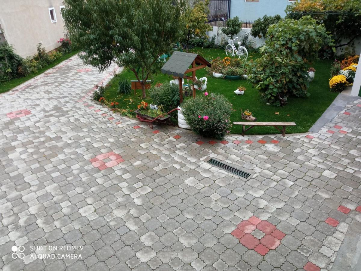 Guest House Vila Banjica Pirot Exterior foto